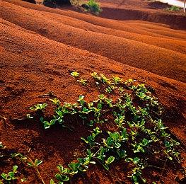 高能电玩节：《巴别号漫游指南》新预告公布